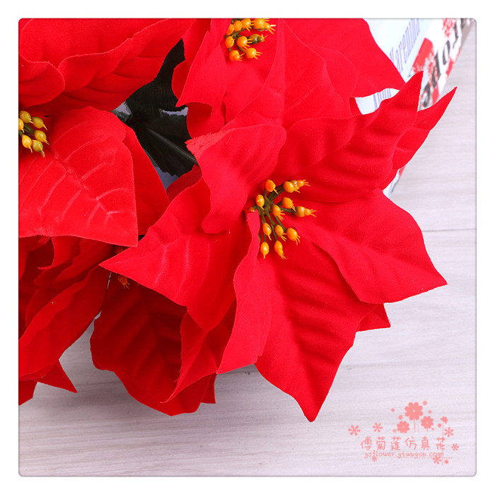Christmas flower fake flower silk flower simulation of poinsettias red Christmas red festival display. Christmas flower fake flower silk flower simulation of poinsettias red Christmas red festival display.