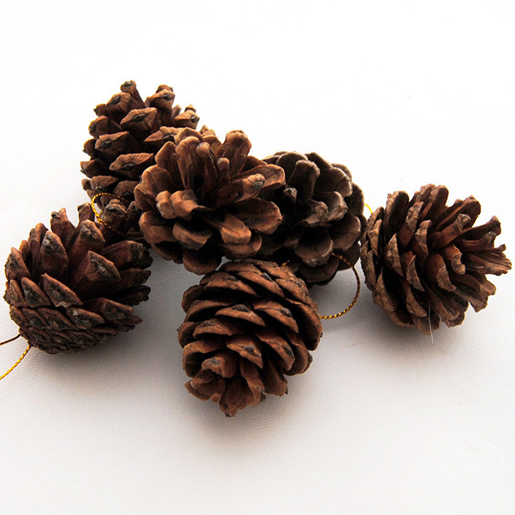 10cm Artificial Christmas Artificial Flower 5 Colors Optional Hollow Christmas Flower Christmas Gift Decoration []]