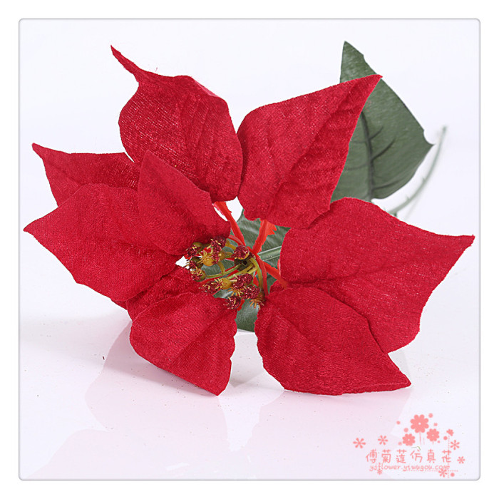 The Christmas flower single Christmas Poinsettia flower bouquet decoration activities The Christmas flower single Christmas Poinsettia flower bouquet decoration activities