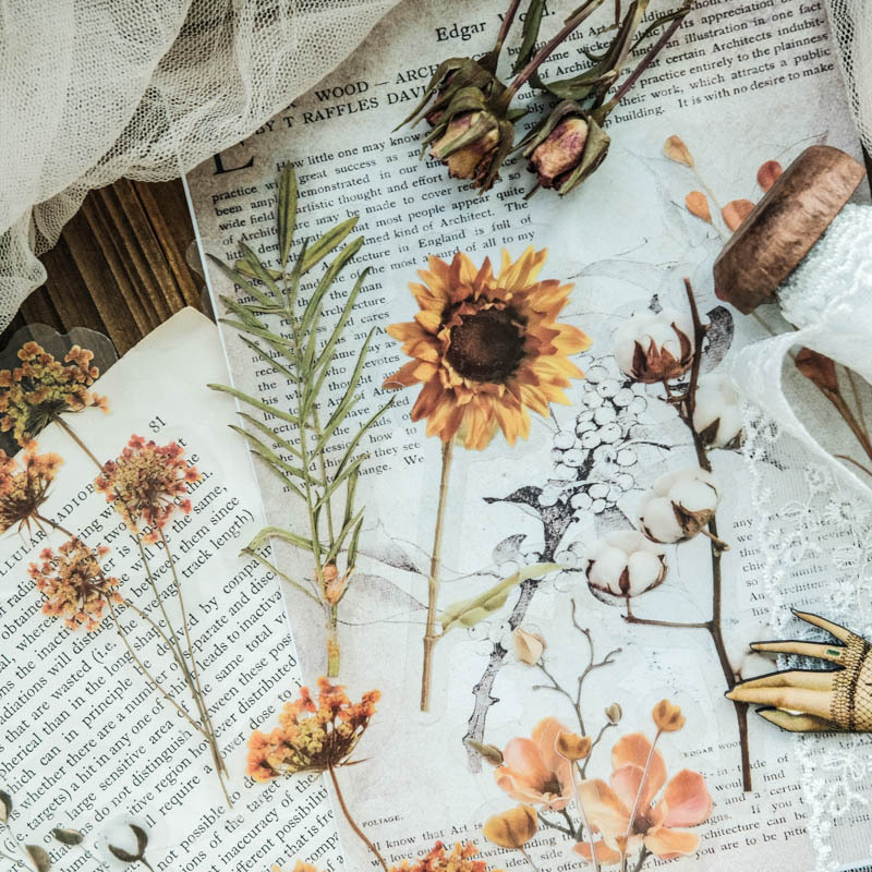 Fresh Ins Journal Stickers Rose Plain White Sticker Package Flower Collage Journal Material Background Base Decoration