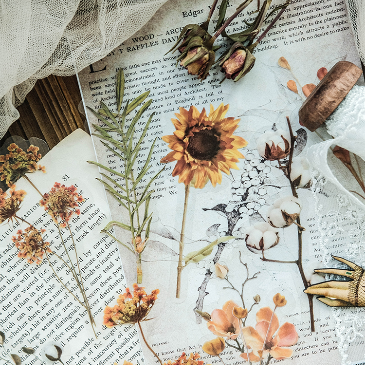 Fresh Ins Journal Stickers Rose Plain White Sticker Package Flower Collage Journal Material Background Base Decoration