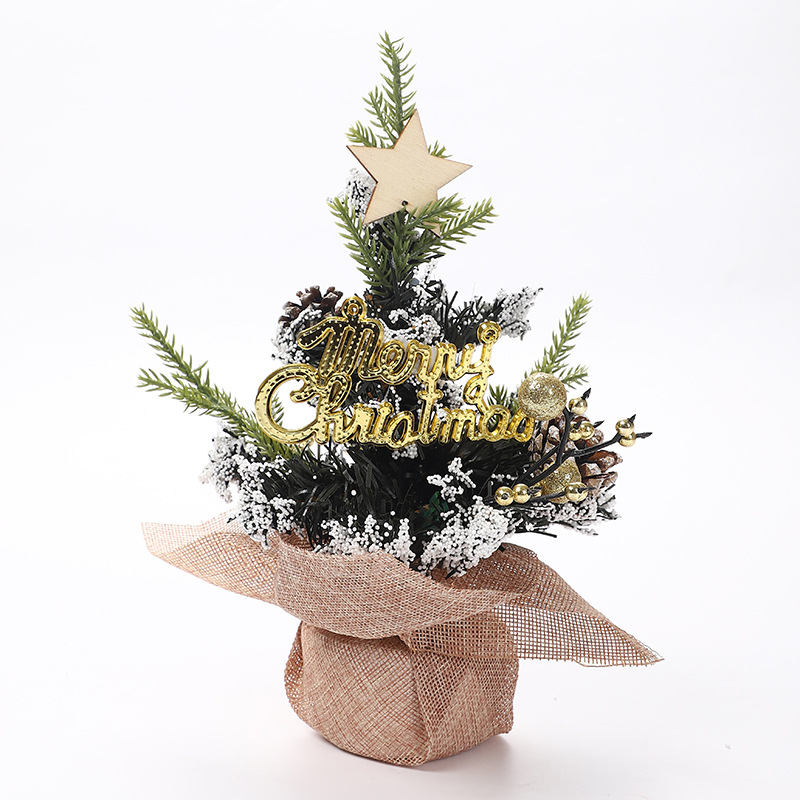 New Mini Christmas Ornament 25cm Christmas Tree Desktop Children's Gift Christmas Tree Small Decorations Wholesale