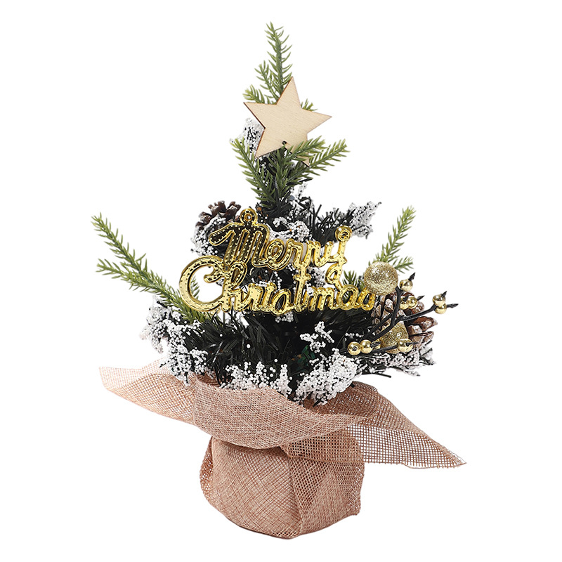 New Mini Christmas Ornament 25cm Christmas Tree Desktop Children's Gift Christmas Tree Small Decorations Wholesale