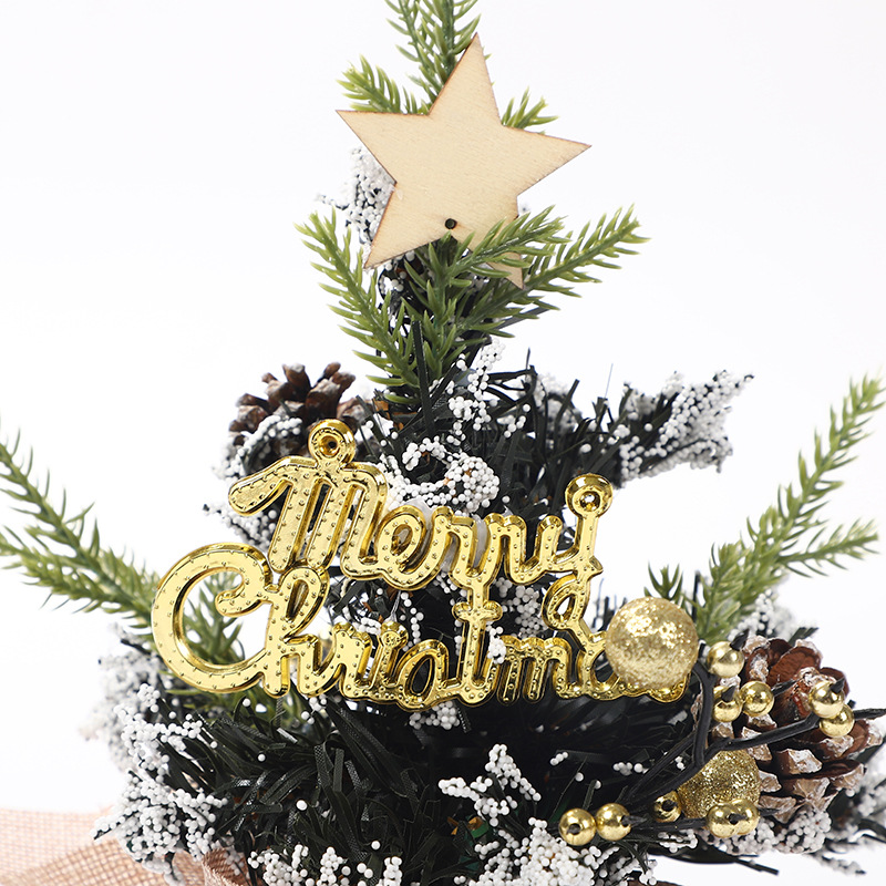 New Mini Christmas Ornament 25cm Christmas Tree Desktop Children's Gift Christmas Tree Small Decorations Wholesale