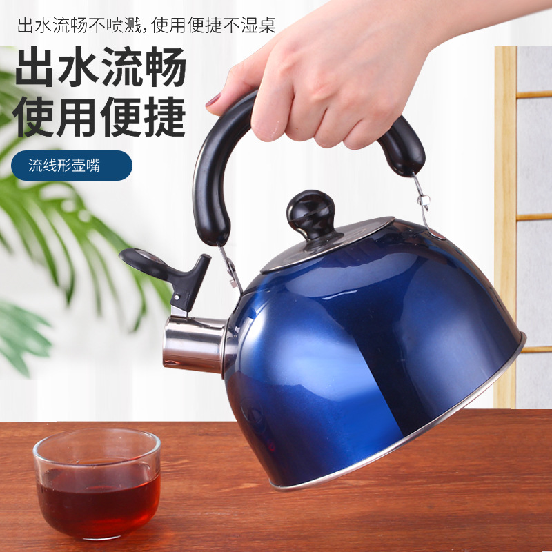 Stainless Steel Sound Kettle Whistle Kettle Spherical Kettle Flat Bottom Gas Stove Kettle Large Capacity Teapot
