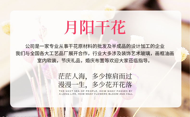 Manufacturers Supply Starry Dried Flower Bridal Headdress Shooting Props Epoxy Glass Cover Filling Dried Flowers Gypsophila