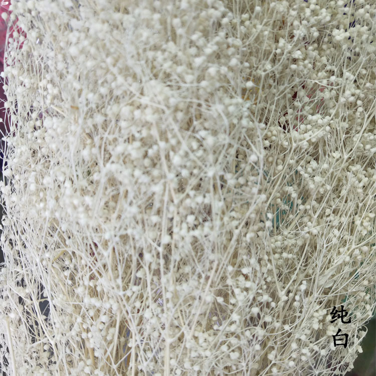Manufacturers Supply Starry Dried Flower Bridal Headdress Shooting Props Epoxy Glass Cover Filling Dried Flowers Gypsophila