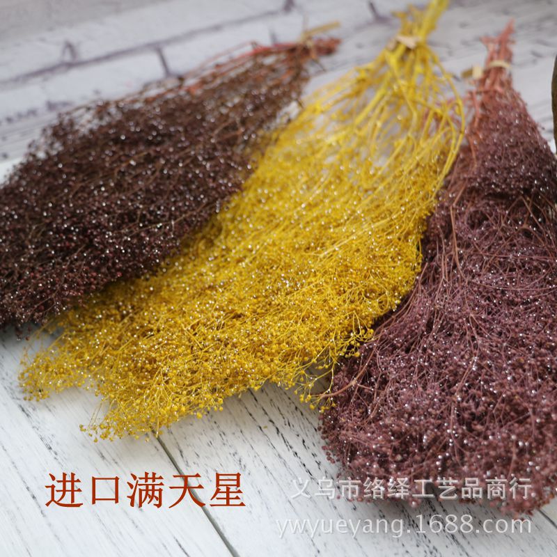 Manufacturers Supply Starry Dried Flower Bridal Headdress Shooting Props Epoxy Glass Cover Filling Dried Flowers Gypsophila