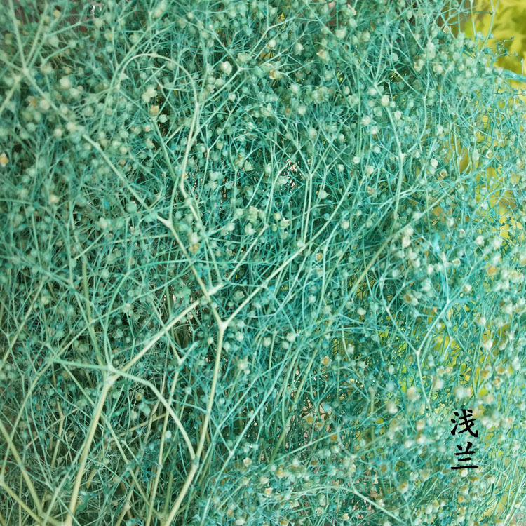 Manufacturers Supply Starry Dried Flower Bridal Headdress Shooting Props Epoxy Glass Cover Filling Dried Flowers Gypsophila