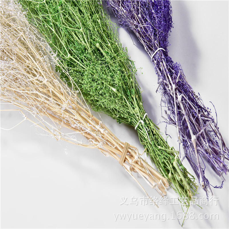 Manufacturers Supply Starry Dried Flower Bridal Headdress Shooting Props Epoxy Glass Cover Filling Dried Flowers Gypsophila