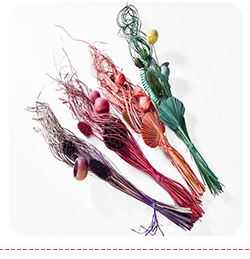 Manufacturers Supply Starry Dried Flower Bridal Headdress Shooting Props Epoxy Glass Cover Filling Dried Flowers Gypsophila