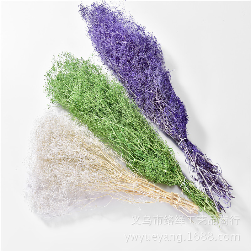 Manufacturers Supply Starry Dried Flower Bridal Headdress Shooting Props Epoxy Glass Cover Filling Dried Flowers Gypsophila
