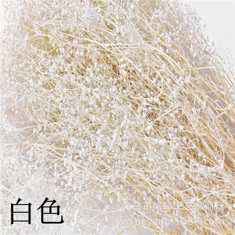 Manufacturers Supply Starry Dried Flower Bridal Headdress Shooting Props Epoxy Glass Cover Filling Dried Flowers Gypsophila