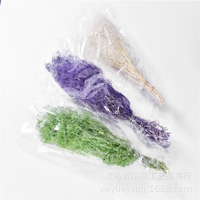 Manufacturers Supply Starry Dried Flower Bridal Headdress Shooting Props Epoxy Glass Cover Filling Dried Flowers Gypsophila