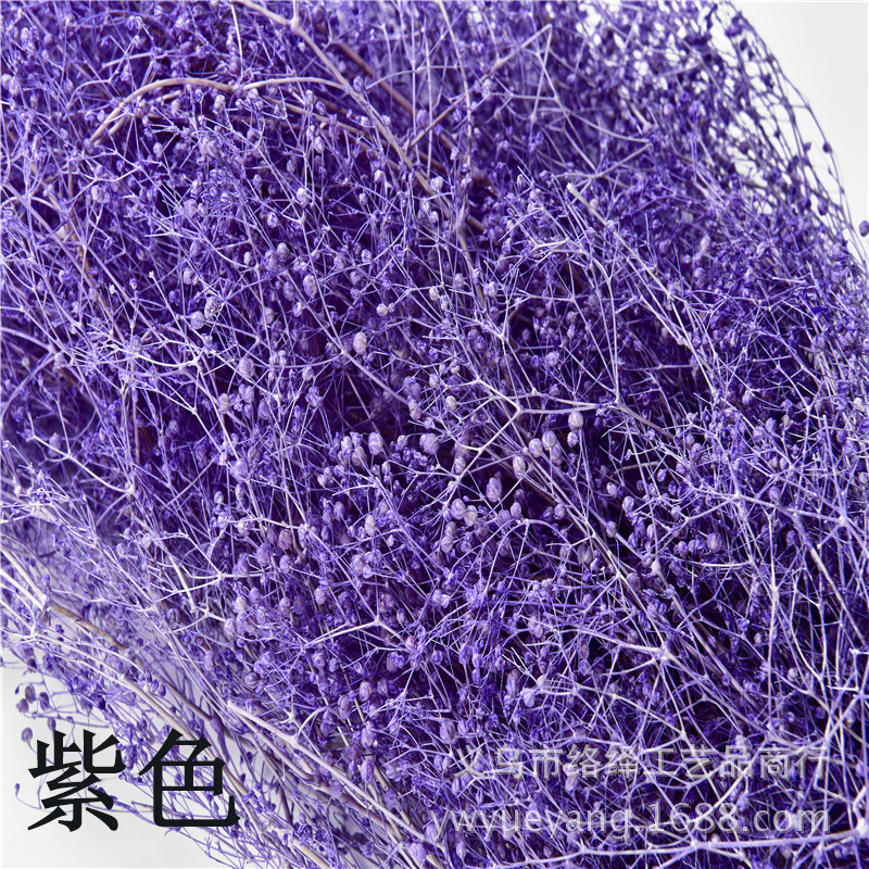 Manufacturers Supply Starry Dried Flower Bridal Headdress Shooting Props Epoxy Glass Cover Filling Dried Flowers Gypsophila
