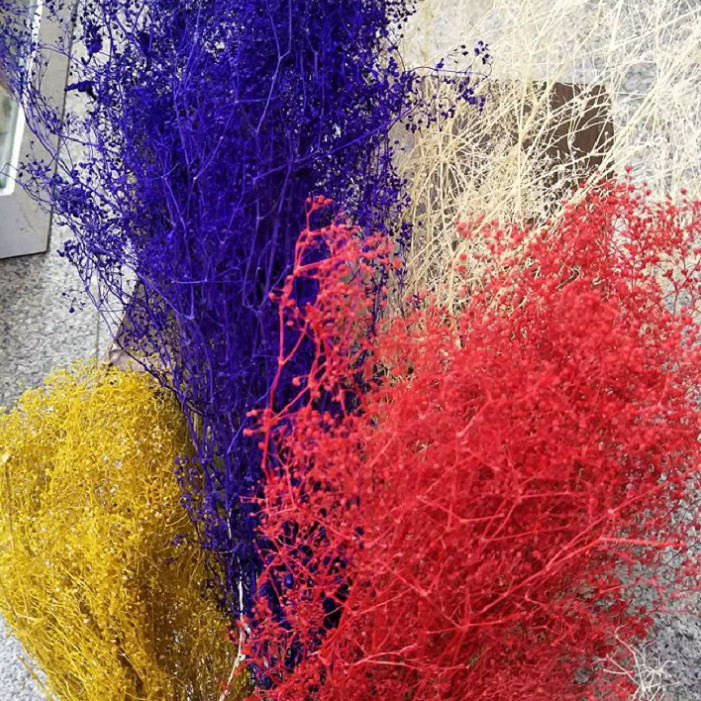 Manufacturers Supply Starry Dried Flower Bridal Headdress Shooting Props Epoxy Glass Cover Filling Dried Flowers Gypsophila