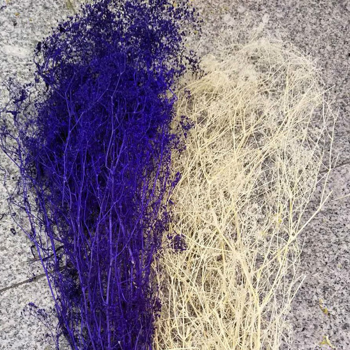 Manufacturers Supply Starry Dried Flower Bridal Headdress Shooting Props Epoxy Glass Cover Filling Dried Flowers Gypsophila