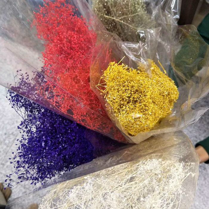 Manufacturers Supply Starry Dried Flower Bridal Headdress Shooting Props Epoxy Glass Cover Filling Dried Flowers Gypsophila