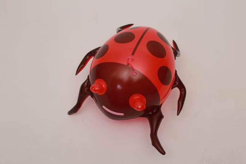 The inflatable light-emitting beetle the glowing frog the bouncy frog the glitter toy ladybug