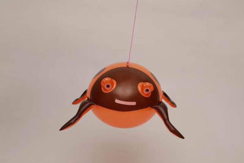 The inflatable light-emitting beetle the glowing frog the bouncy frog the glitter toy ladybug The inflatable light-emitting beetle the glowing frog the bouncy frog the glitter toy ladybug