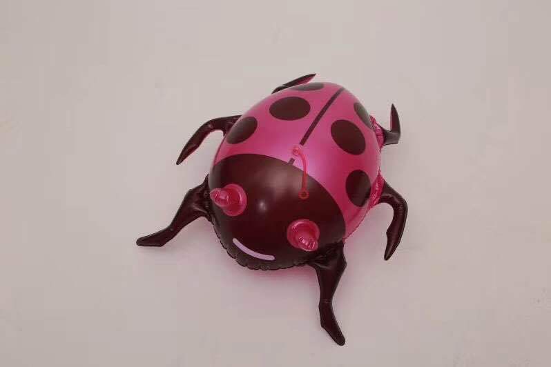 The inflatable light-emitting beetle the glowing frog the bouncy frog the glitter toy ladybug The inflatable light-emitting beetle the glowing frog the bouncy frog the glitter toy ladybug