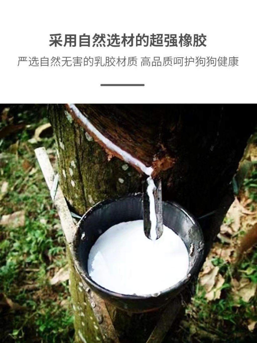 Native Rubber Material, Safe and Non-Toxic
Cute Shape, Flexible Bouncy
Can't You Enjoy Your Teeth Cleaning Native Rubber Material, Safe and Non-Toxic
Cute Shape, Flexible Bouncy
Can't You Enjoy Your Teeth Cleaning