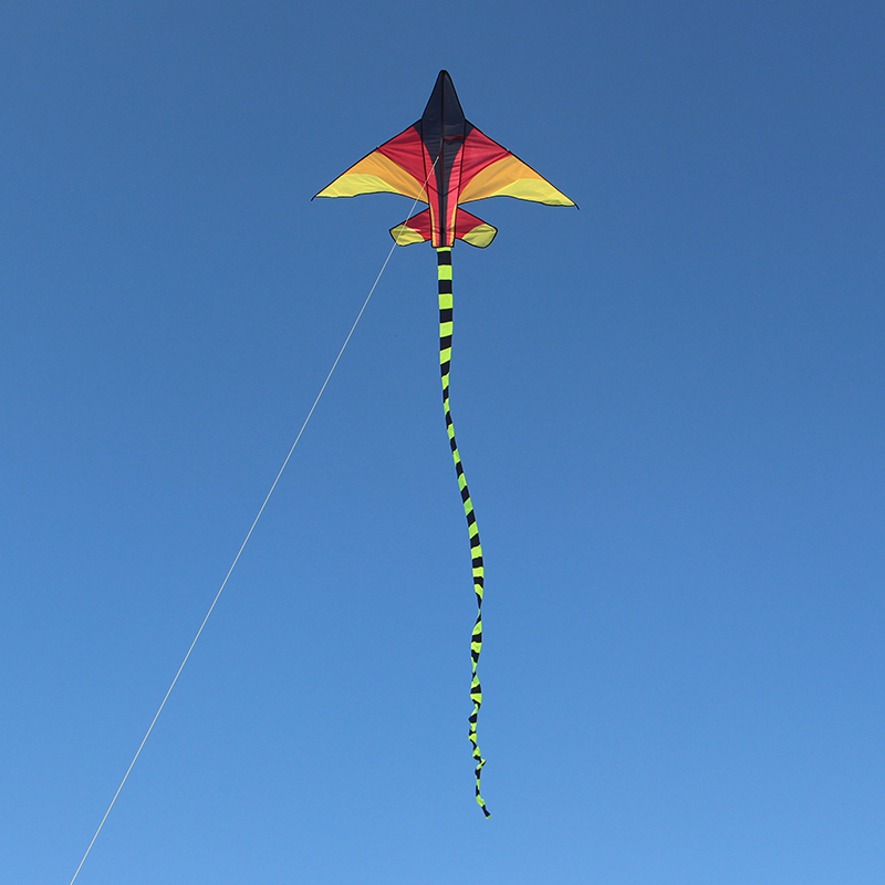 Weifang Hongyun Kite Green Grassland Plane Children's Cartoon Triangle Long Tail Multi-Tail Stall Toy Weifang Hongyun Kite Green Grassland Plane Children's Cartoon Triangle Long Tail Multi-Tail Stall Toy
