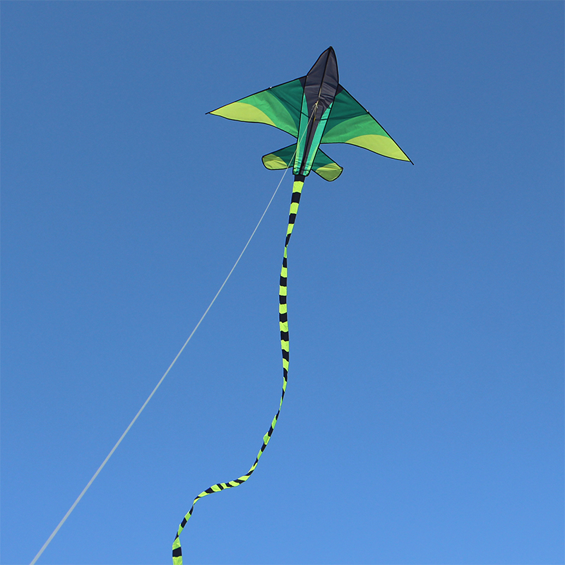 Weifang Hongyun Kite Green Grassland Plane Children's Cartoon Triangle Long Tail Multi-Tail Stall Toy Weifang Hongyun Kite Green Grassland Plane Children's Cartoon Triangle Long Tail Multi-Tail Stall Toy