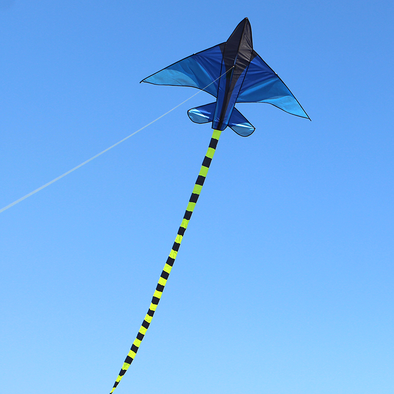 Weifang Hongyun Kite Green Grassland Plane Children's Cartoon Triangle Long Tail Multi-Tail Stall Toy Weifang Hongyun Kite Green Grassland Plane Children's Cartoon Triangle Long Tail Multi-Tail Stall Toy
