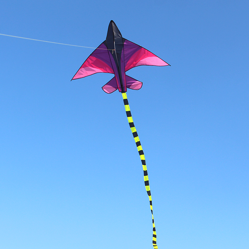 Weifang Hongyun Kite Green Grassland Plane Children's Cartoon Triangle Long Tail Multi-Tail Stall Toy Weifang Hongyun Kite Green Grassland Plane Children's Cartoon Triangle Long Tail Multi-Tail Stall Toy
