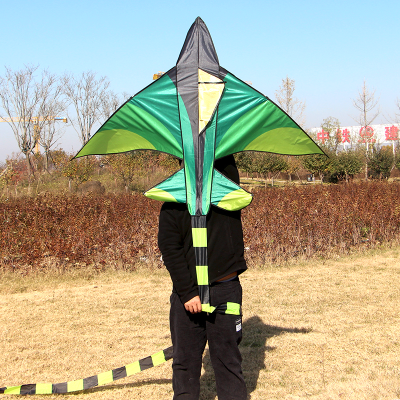 Weifang Hongyun Kite Green Grassland Plane Children's Cartoon Triangle Long Tail Multi-Tail Stall Toy Weifang Hongyun Kite Green Grassland Plane Children's Cartoon Triangle Long Tail Multi-Tail Stall Toy