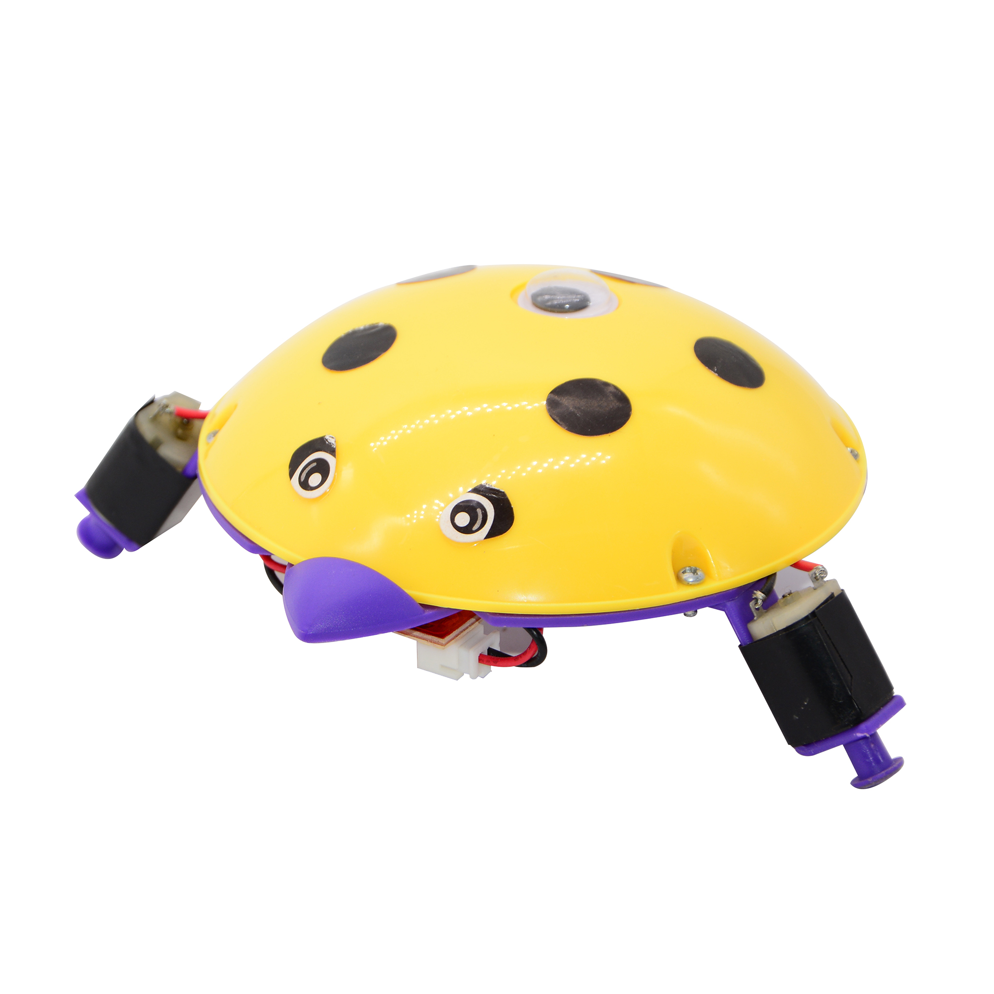 Science Experiment Set toy children&#039;s educational Institution Teaching course Male and female manual STEM electric turtl