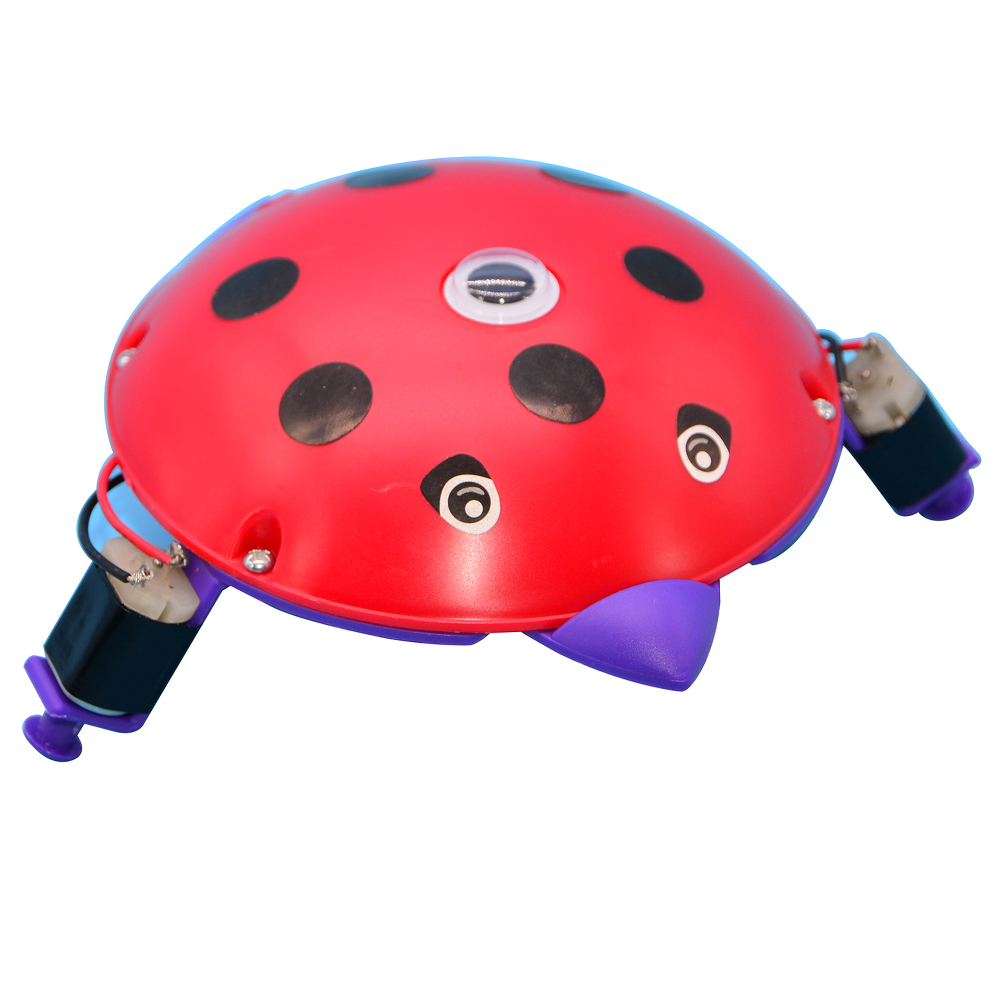 Science Experiment Set toy children&#039;s educational Institution Teaching course Male and female manual STEM electric turtl