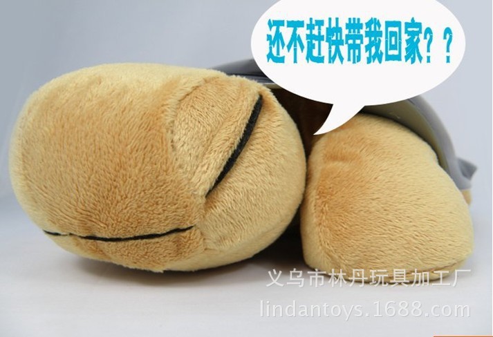 Amazon Hot Sale Children's Plush Turtle Lamp Music Starry Sky Projection Lamp Sleeping Luminous Toys Small Night Lamp Amazon Hot Sale Children's Plush Turtle Lamp Music Starry Sky Projection Lamp Sleeping Luminous Toys Small Night Lamp