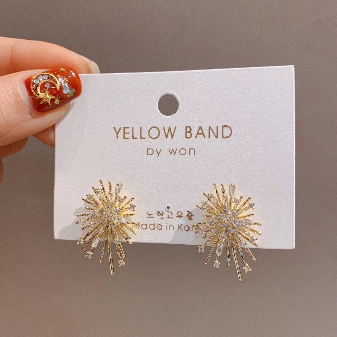 Korean Dongdaemun New Sterling Silver Needle Beautiful Rhinestone Temperament Fireworks High-Grade Ear Studs Earrings Girl&#039;s Earrings