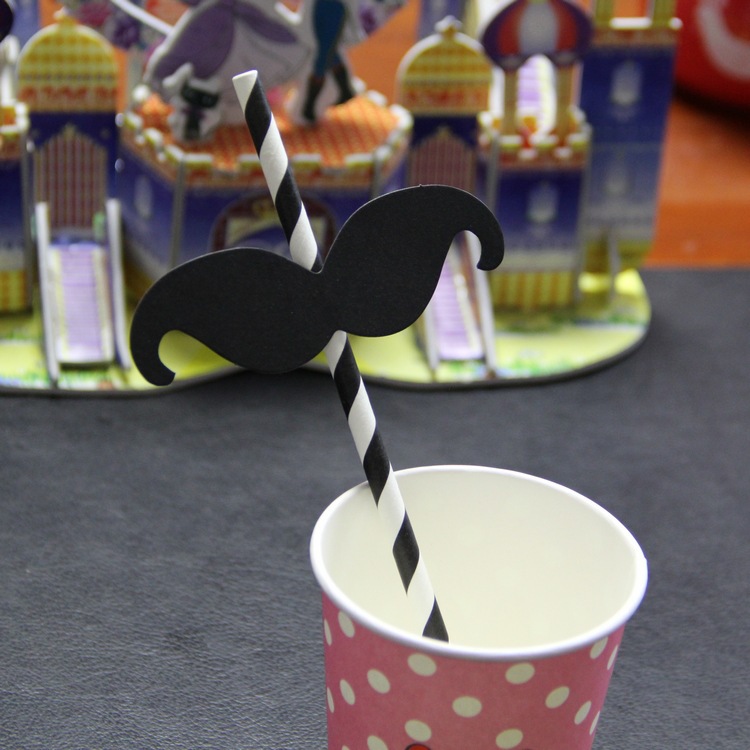 Beard Straw Factory Direct Sales Wholesale 10-Piece Set Wedding Wedding Birthday Party Gathering Funny Fun Paper Beard