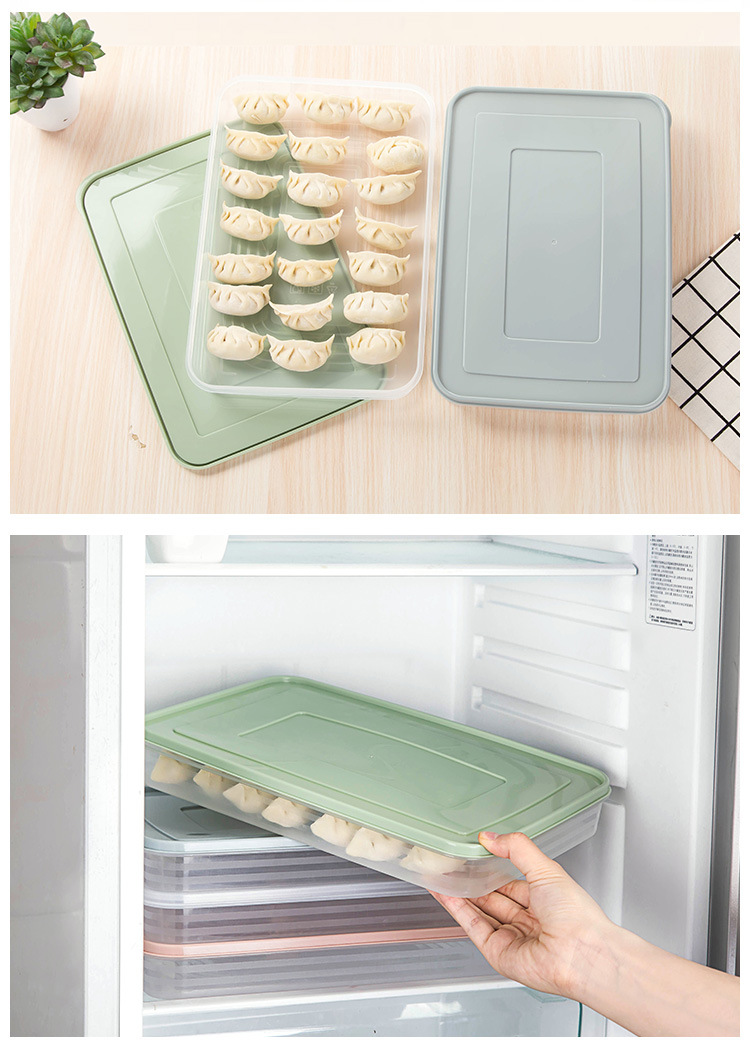 2641 Single Layer Quick-Frozen Dumplings Box 21 Grid Kitchen Refrigerator Food Compartment Fresh-Keeping Box with Lid Overlay Wonton Box