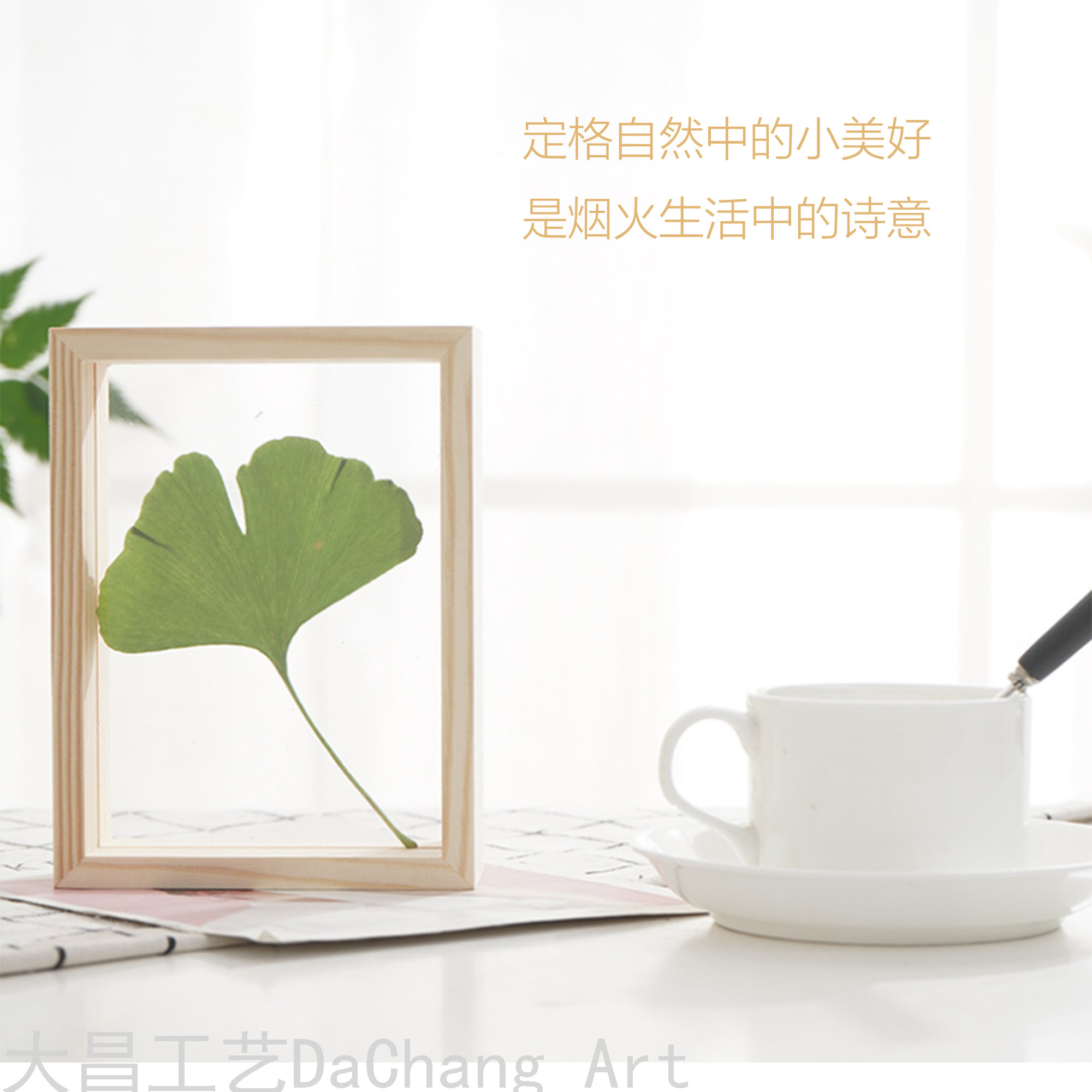 Transparent Simple Solid Wood Photo Frame Double-Sided Decoration 6-Inch A4 Album Specimen Box Frame Pattern Glass Photo Frame Polaroid