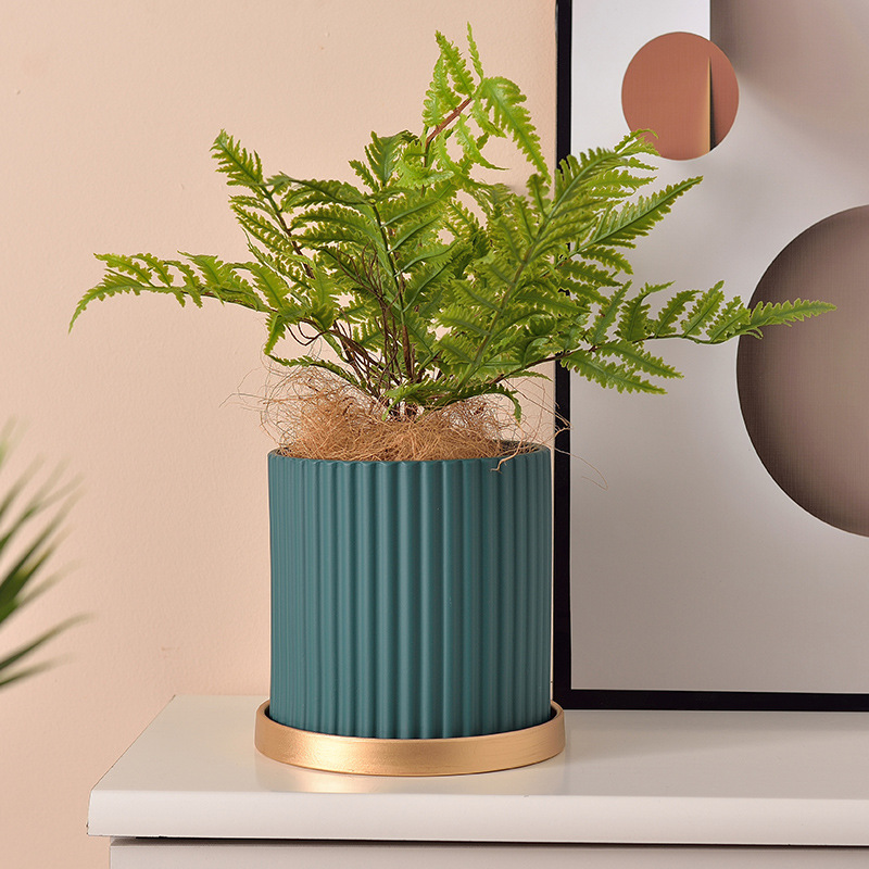 Porcelain craft Ceramic Flower Pot Frosted Artistic Personality Indoor Green Radish Bonsai Succulent Indoor Flower Pot