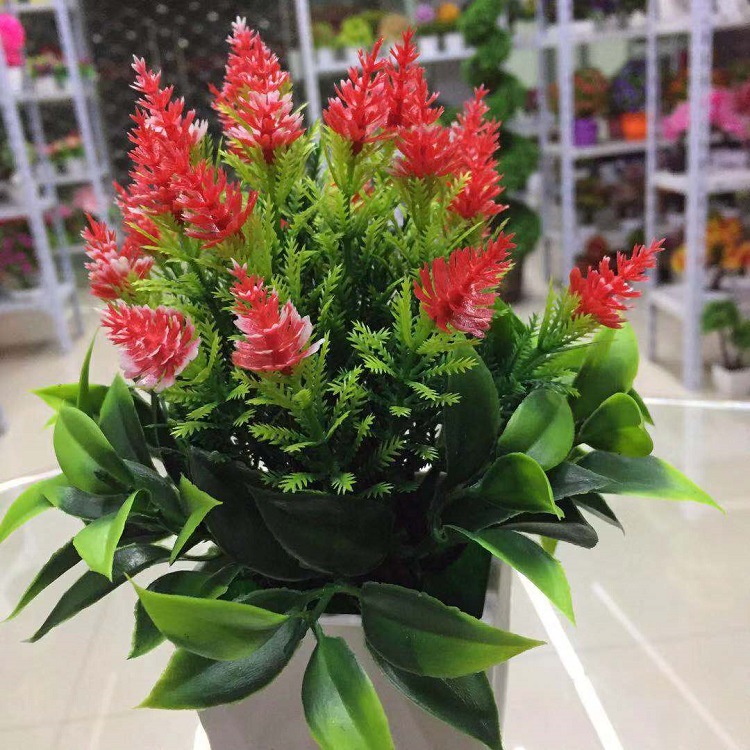  Artificial Plant Artificial Flower Pot Mini Pine Cone Bonsai 9.9 Yuan Store Hot Selling Products