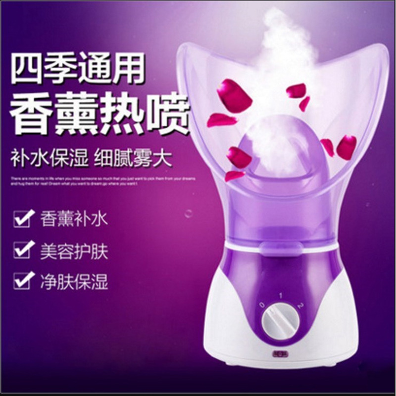 New Facial Vaporizer Aromatherapy Sprayer Facial Steamer Water Replenishing Instrument Facial Vaporizer Hot Spray Nasal Steamer Manufacturer
