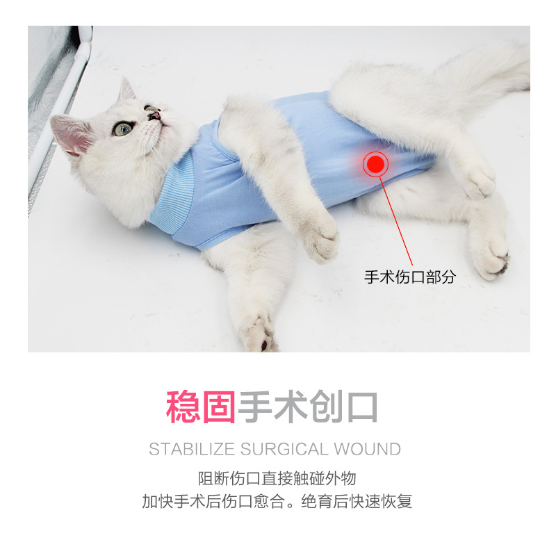 Cat Surgical Clothing Female Cat Sterilization Clothing Weaning Clothing Postoperative Clothing Anti-Licking Summer 
