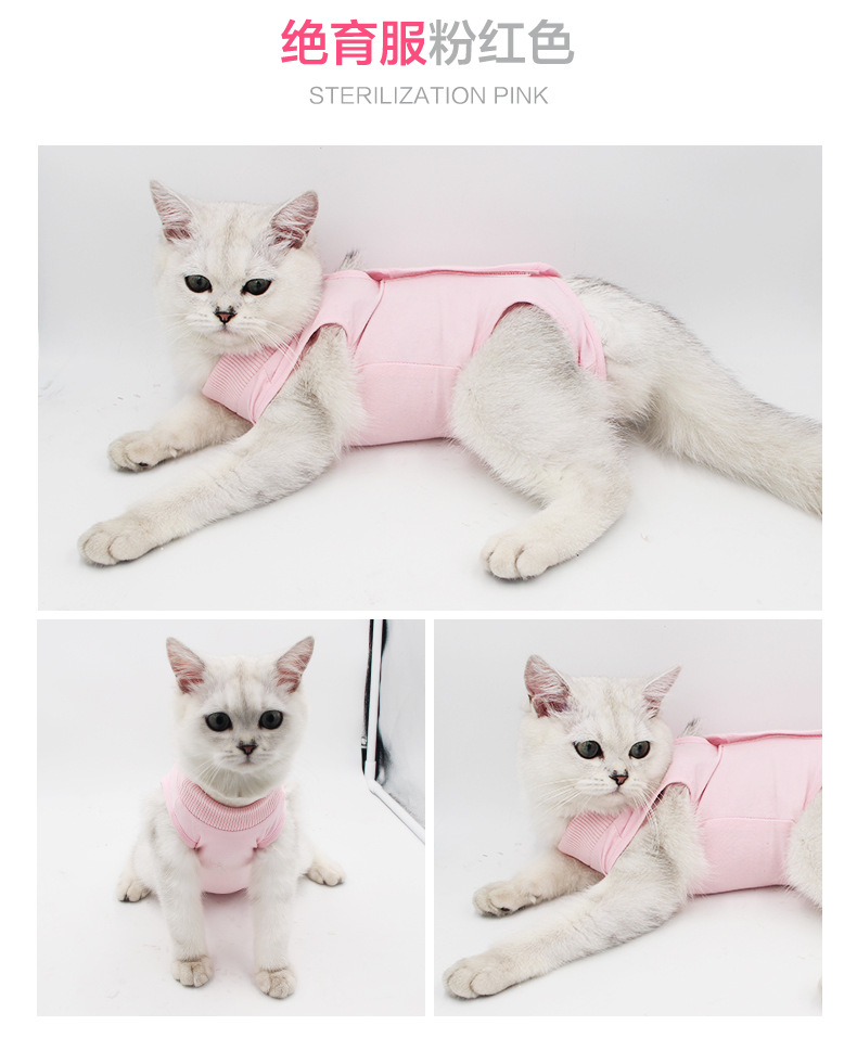 Cat Surgical Clothing Female Cat Sterilization Clothing Weaning Clothing Postoperative Clothing Anti-Licking Summer 