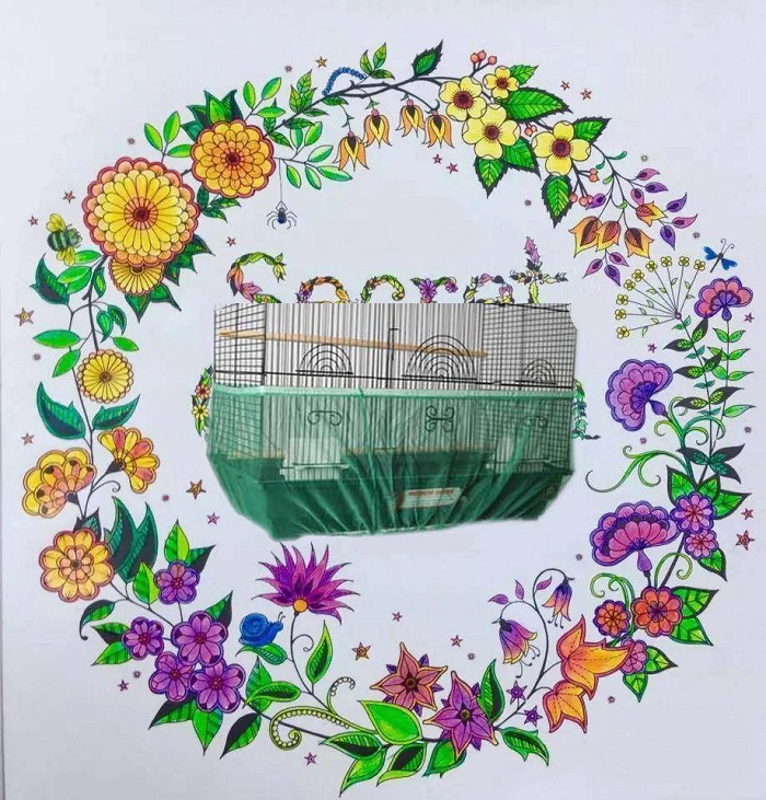 Mesh Bird Cover Dust-Proof Bird Cage Accessories Thrush Starling Voile Cover Large, Medium and Small Number