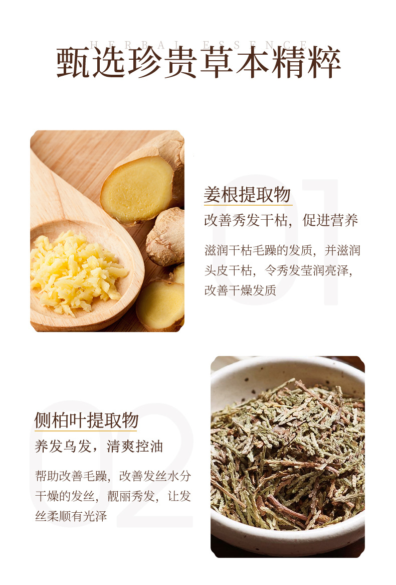 Images Ginger Hair Conditioner Moisturizing Refreshing Oil Control Smooth Improve Frizzy Hair Silky Hair Conditioner Hair Care Images Ginger Hair Conditioner Moisturizing Refreshing Oil Control Smooth Improve Frizzy Hair Silky Hair Conditioner Hair Care