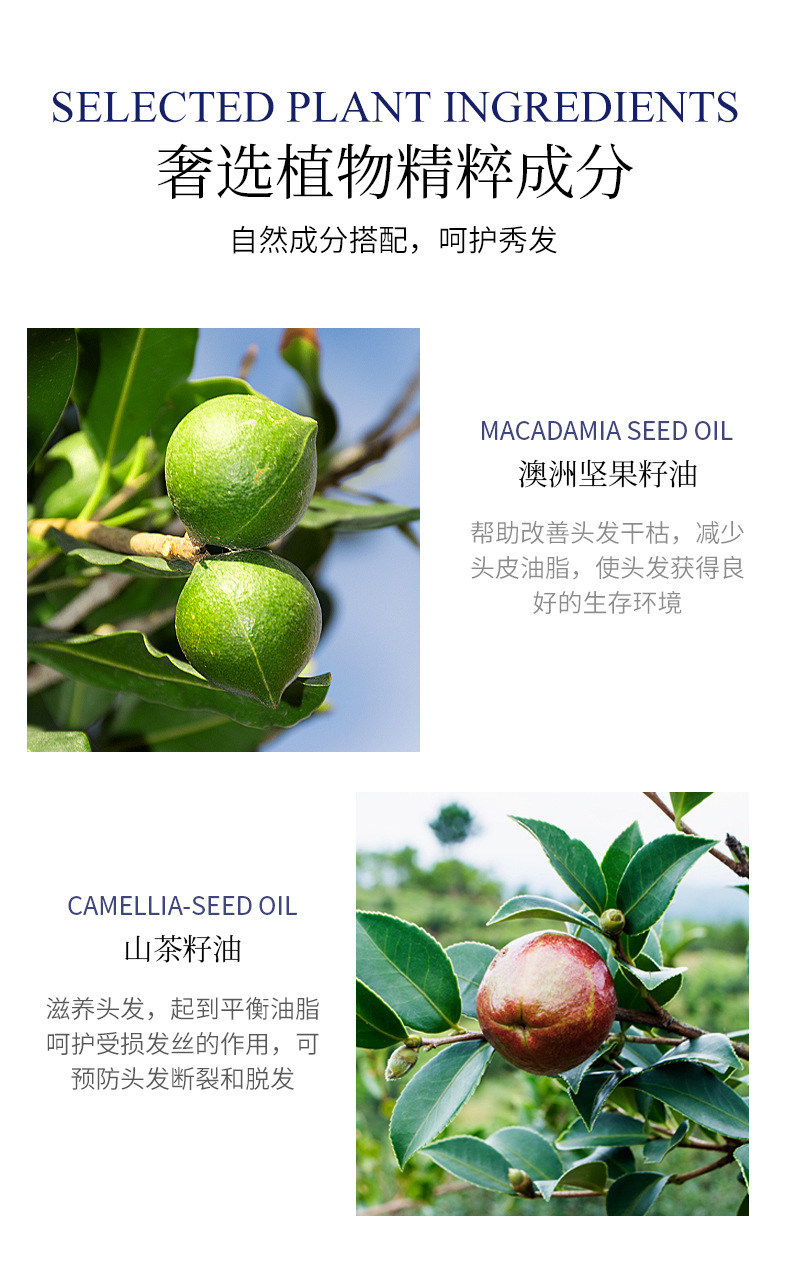 Rain Essential Oil Fragrance Soft Hair Care Mask Moisturizing Hair Soft Improve Frizzy Hair Hair Conditioner Hair Care Hair Nursing Rain Essential Oil Fragrance Soft Hair Care Mask Moisturizing Hair Soft Improve Frizzy Hair Hair Conditioner Hair Care Hair Nursing