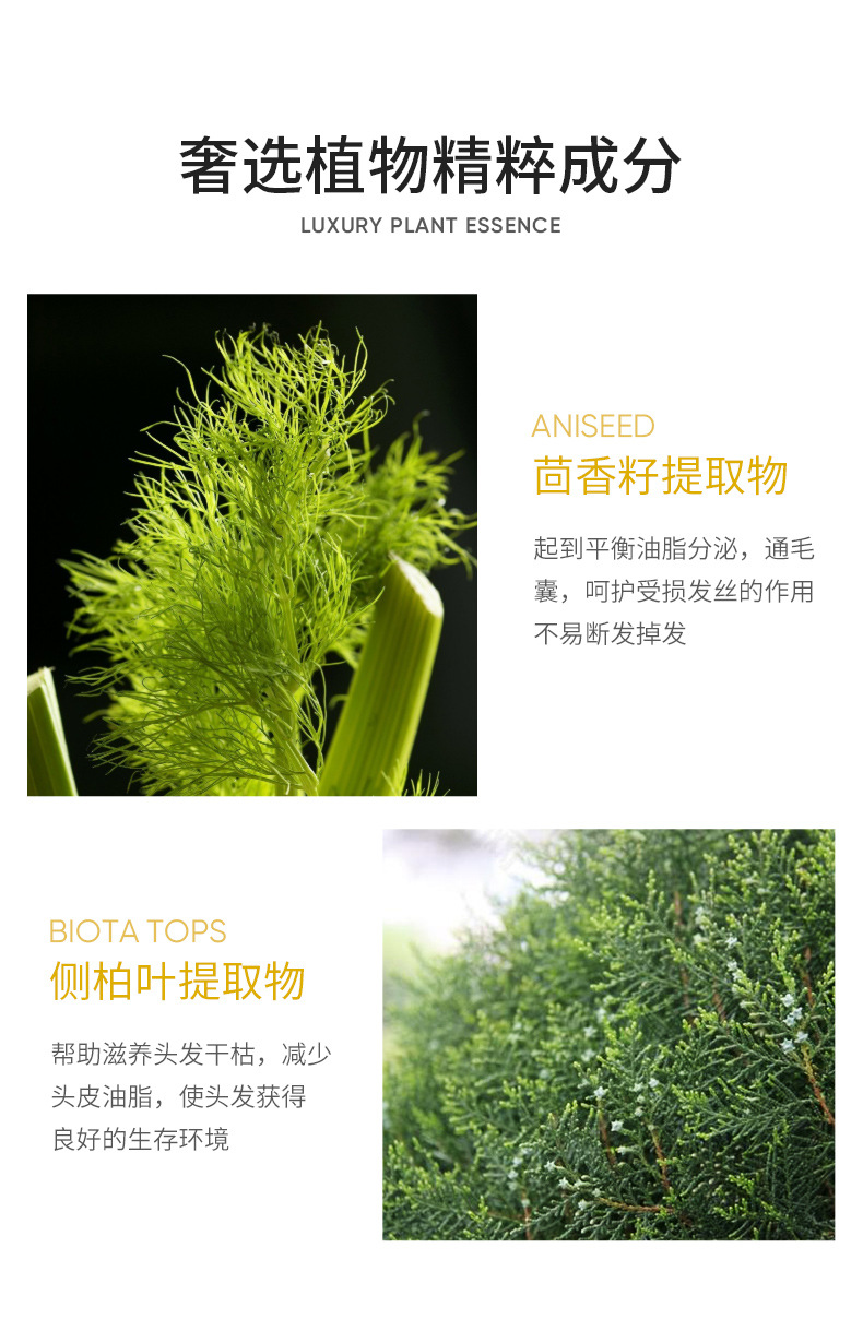 Senana Marina Ginger Soft Hair Conditioner Improve Frizzy Hair Dry Hair Conditioner Nourishing Hair Silky Soft Moisturizing Hair Mask
