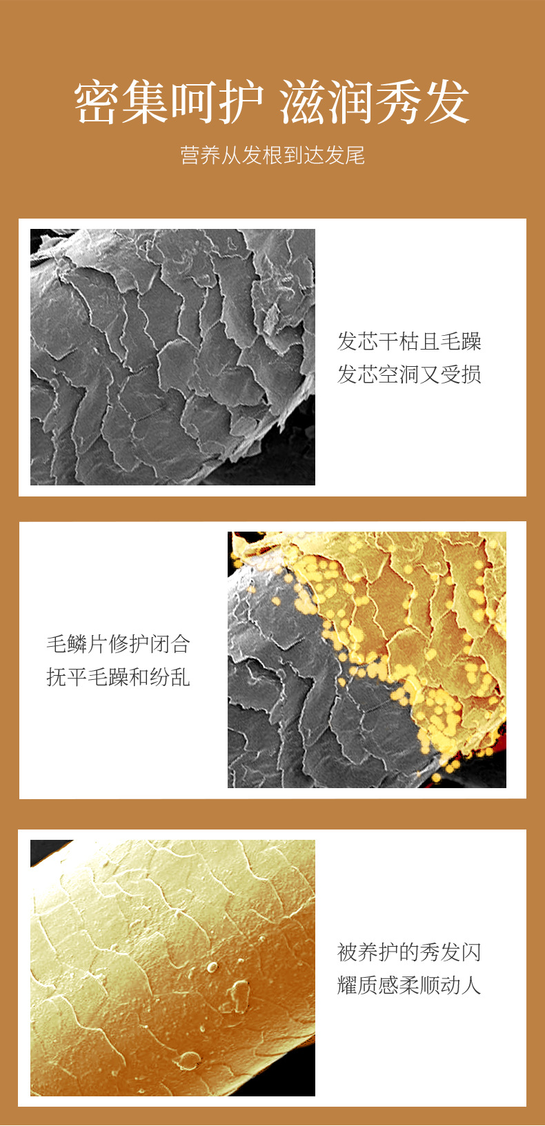 Fanzhen Mature Ginger Smooth Hair Conditioner Moisturizing Refreshing Oil Control Smooth Improve Frizzy Hair Hair Conditioner Hair Care Fanzhen Mature Ginger Smooth Hair Conditioner Moisturizing Refreshing Oil Control Smooth Improve Frizzy Hair Hair Conditioner Hair Care