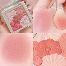 Original Painter Highlight Powder Glitter Brightening Natural Three-Dimensional Nose Shadow Side Shadow Relief Lion Ginger Highlight Contour Compact Original Painter Highlight Powder Glitter Brightening Natural Three-Dimensional Nose Shadow Side Shadow Relief Lion Ginger Highlight Contour Compact