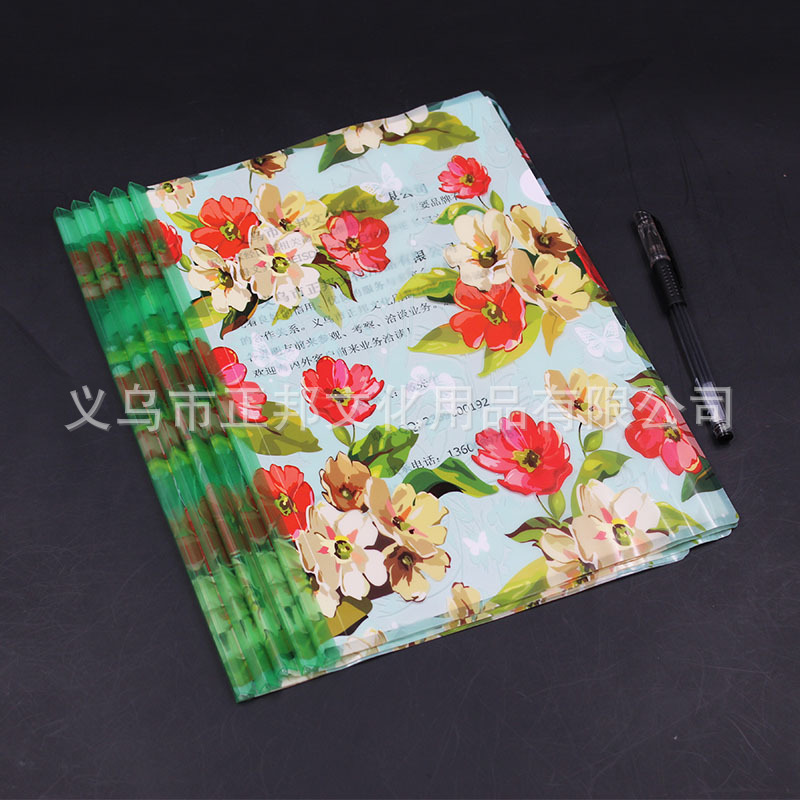 Factory Direct Sales A4 Transparent Cartoon Flowers and Plants Printing Stick File Folder Color Pattern Pp/PVC Book Wallet Customization